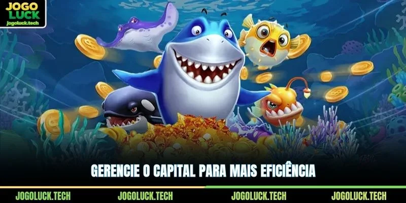 Gerencie o capital para mais eficiência